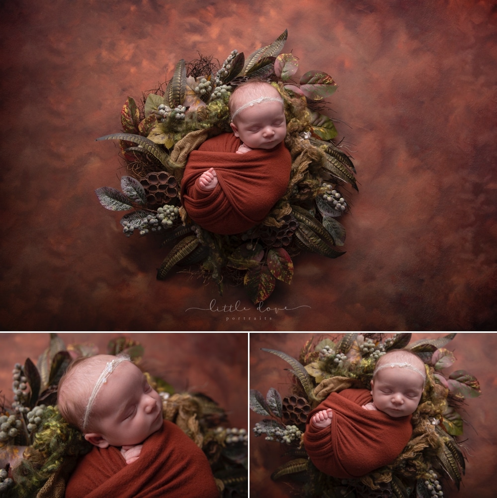 Plano Newborn Photographer | Girl newborn photoshoot with flowers